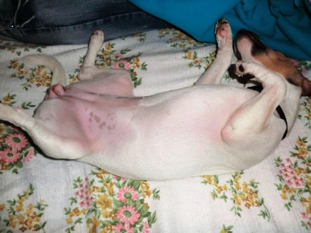 Posizioni Impossibili!