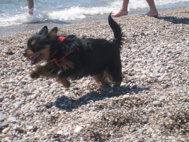 JACK AL MAREEEEEEEEEEEEEEEEEEEE!!!!!!