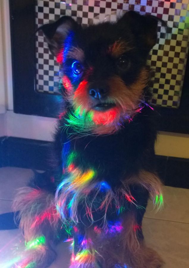 jack  colora la mia vita con  tutti colori dell'arcobaleno