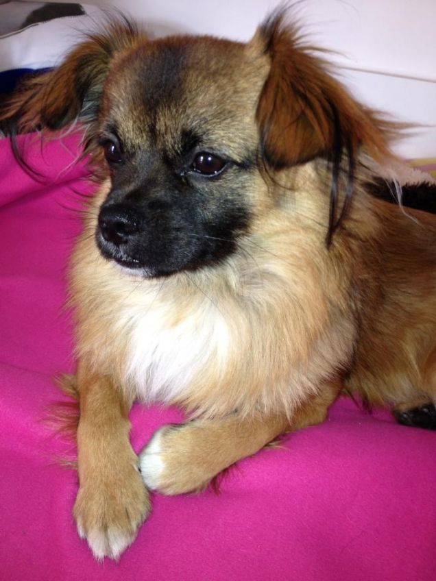 Il mio dolcissimo Yuki