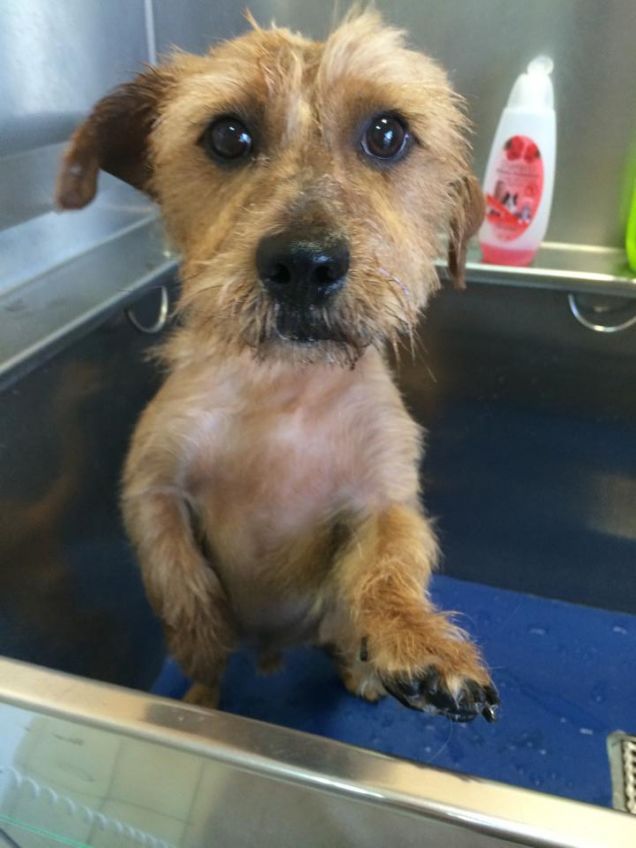 Bagnetto in arrivo :)