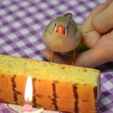 1° Compleanno di Briciola