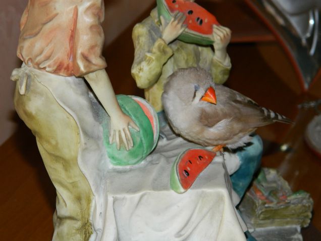 La bella addormentata