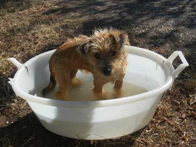 Moka e il suo primo bagno 