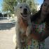 CUCCIOLA TIPO MAREMMANO ABRUZZESE  IN REGALO