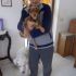 CUCCIOLA INCROCIO BEAGLE  IN REGALO
