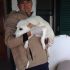 CAGNOLINA INCROCIO VOLPINO  IN REGALO