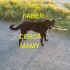 CUCCIOLO FABER INCROCIO LABRADOR GOLDEN RETRIEVER IN REGALO