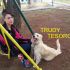 CUCCIOLO TRUDY INCROCIO GOLDEN RETRIEVER IN REGALO