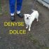 CUCCIOLA DENYSE INCROCIO VILPINO IN REGALO
