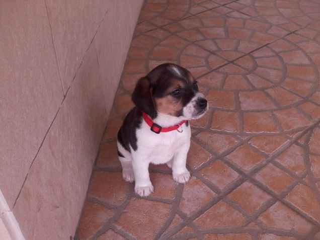 che era cucciolosa da piccolaa!!