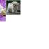 cerco cane tg piccola