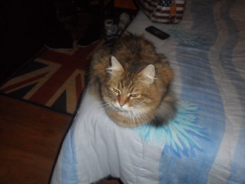 STELLA HA BISOGNO DI TE