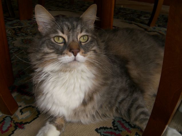 nel pieno della sua giovinezza!