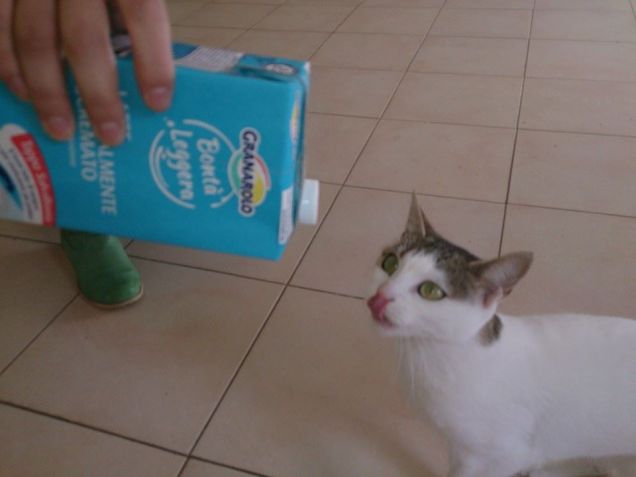 La mia Stellina ....