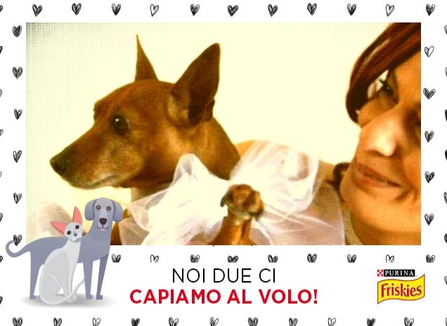 Insieme sempre e in ogni occasione