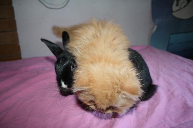 Mia con il piccolo Slotty