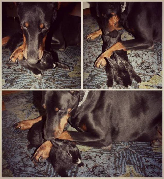 l'ora del bagnetto di Mia