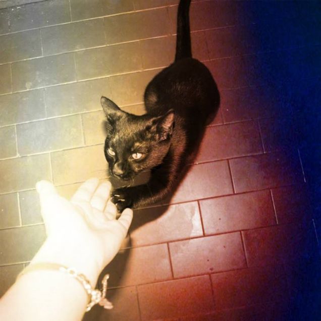 Kali che chiede coccole