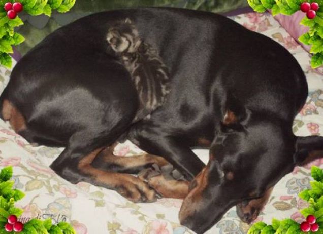 Mamma Tess con il suo figlioccio