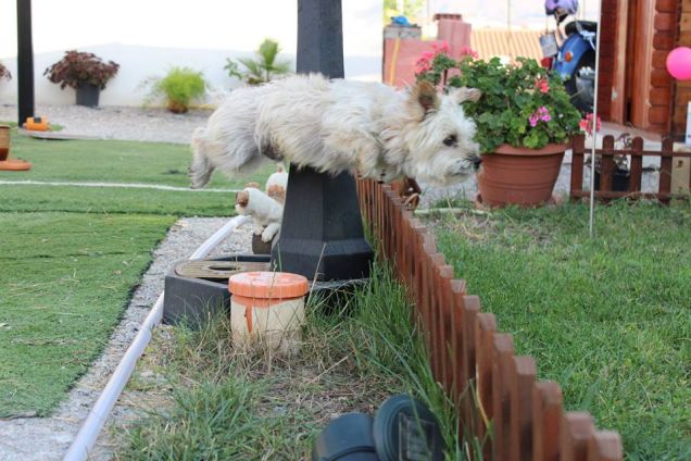 mai stanco!!!! a tutto sprint