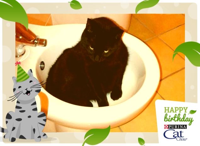 guardate come sono pulito!