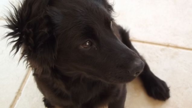 si, lo so ... sono un Gran FIGO!