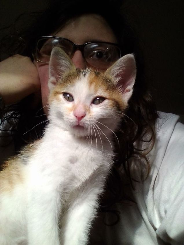 io la mia piccola maya