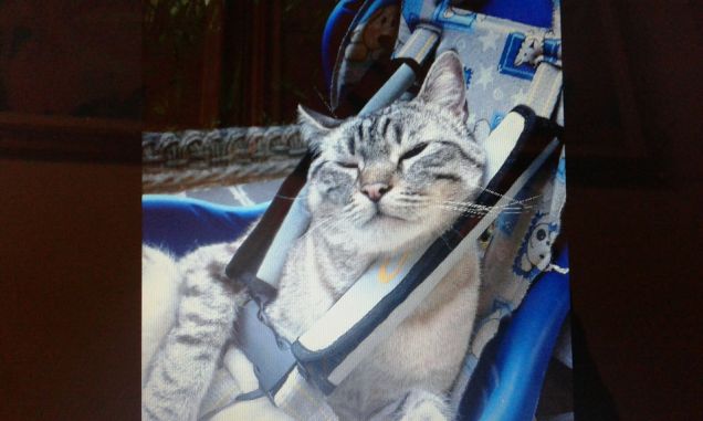 Oggi sono un po' pigro