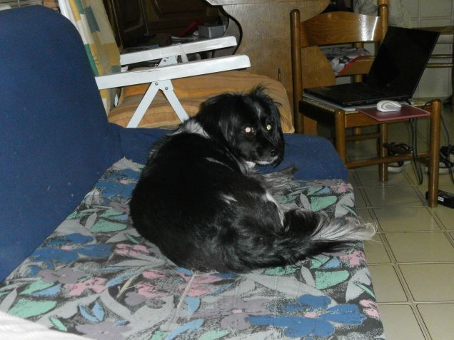 il suo posto preferito