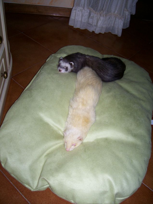 ..mi fai un po' di spazio?