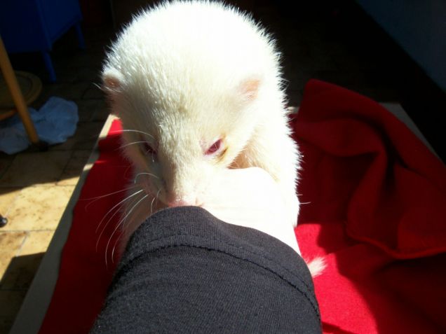 vedere, vedere! so' curioso!