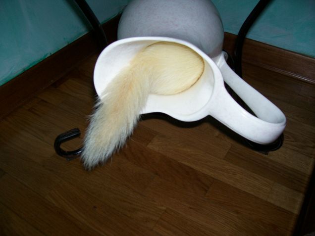 hhmm..che ci sarà qui dentro!?!