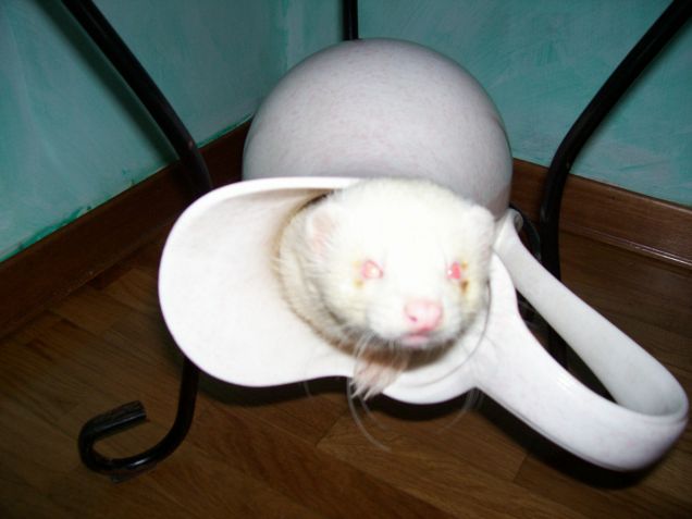 embè? che c'è da ridere?