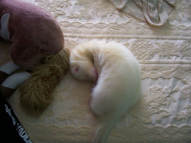 faccio nanna col mio peluches..