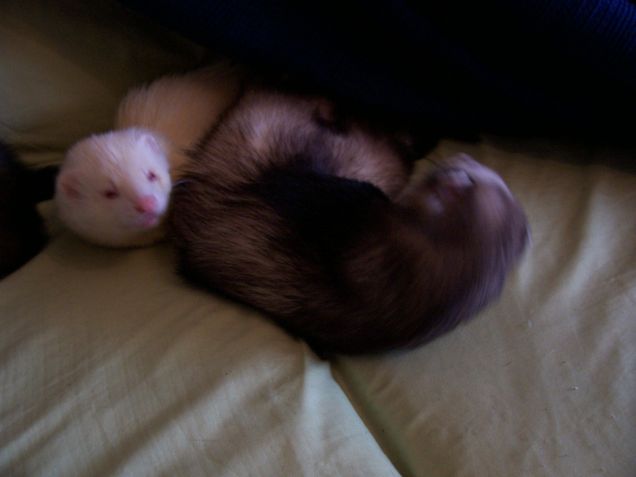 shhh..il mio fratellone dorme!