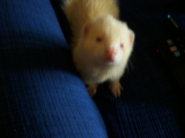 Gabriel? c'est moi!..