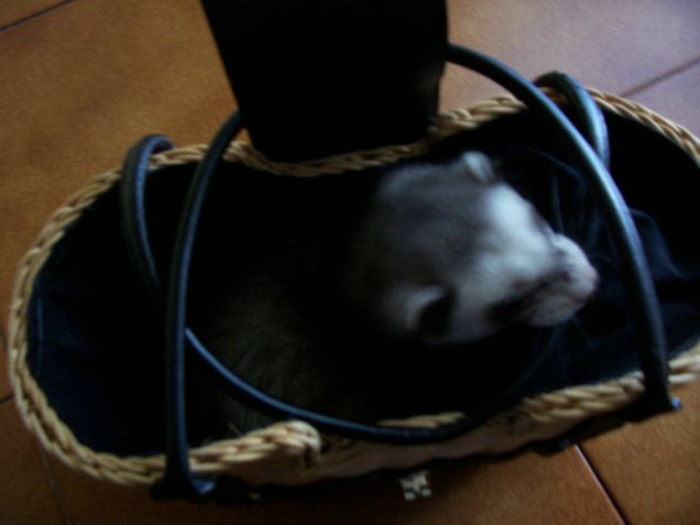 adoro le borse..si vede?