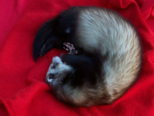 ..e io che lettera sono?