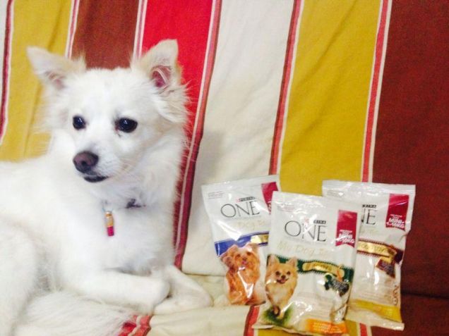 fiocco di neve cresce