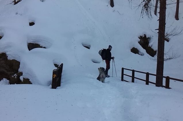 Io e la mia cagnolina