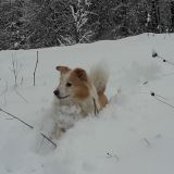 Nella neve!
