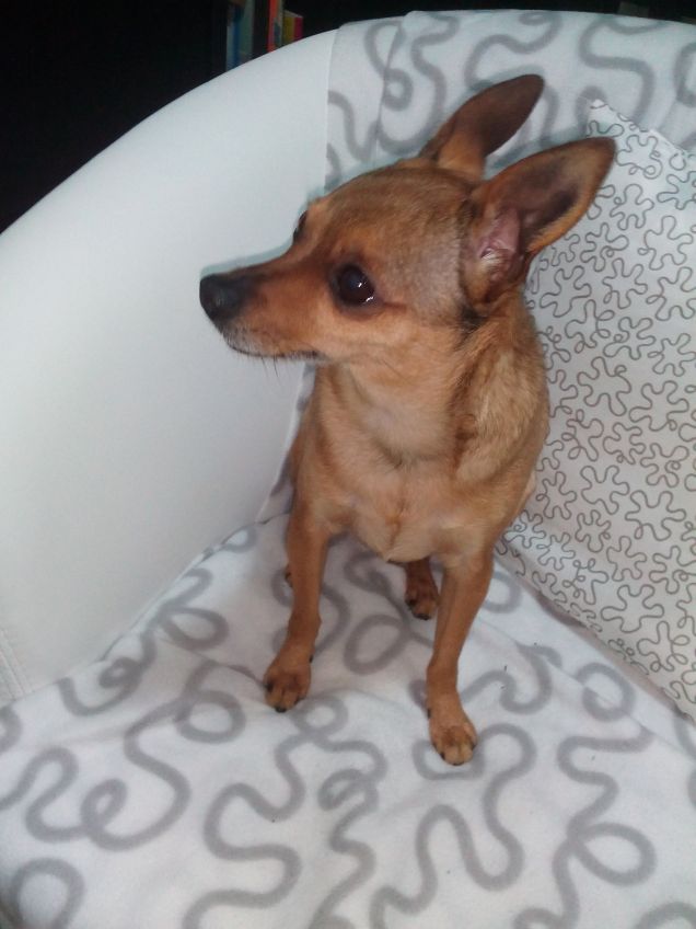 Paco...sempre con me!!