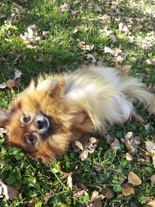 Siamo entrambe pigrone!!