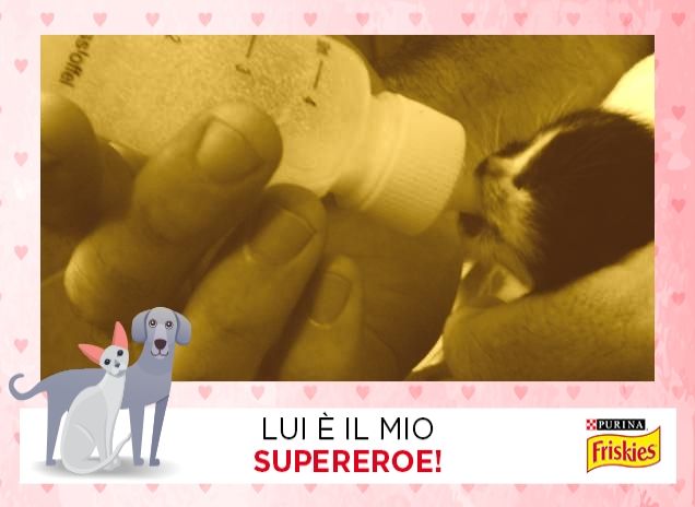 Napoleone ce l'ha fatta