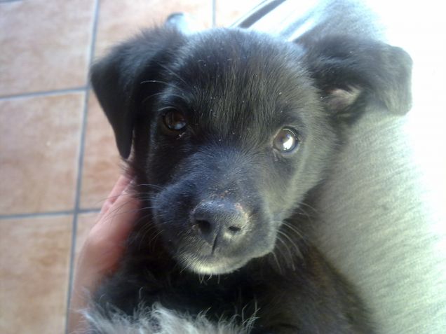 Lo sguardo magnetico 