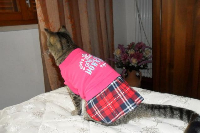 Vanità è femminile