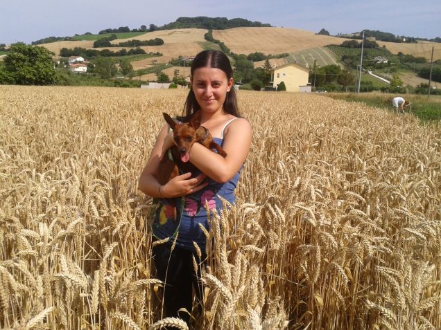 Ilaria e Taffy tra il grano
