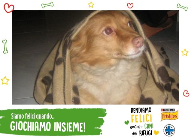 Giocare a nascondino