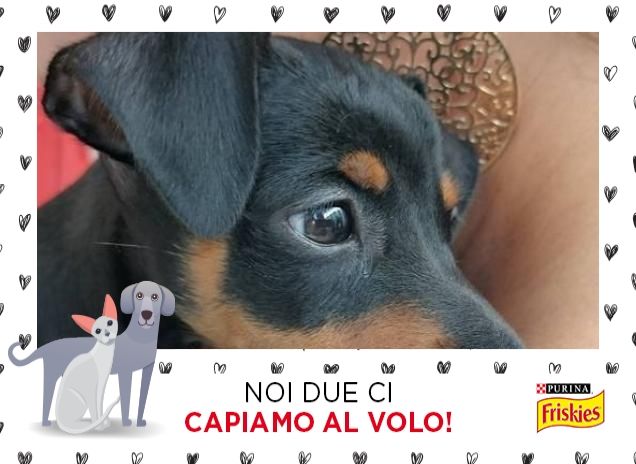 Io e il mio amico lapo